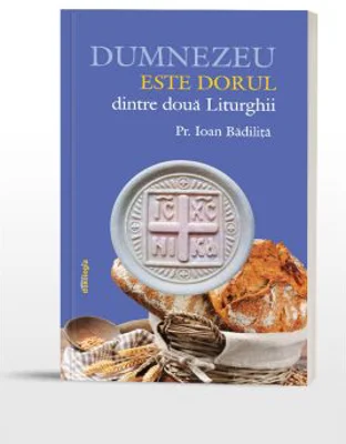 Dumnezeu este dorul dintre doua liturghii - Pr. Ioan Badilita