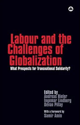 Labour and the Challenges of Globalization. What Prospects For Transnational Solidarity? - Andreas Bieler, Ingemar Lindberg, Devan Pillay