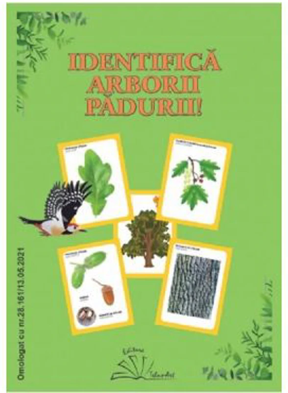 Identifica arborii padurii