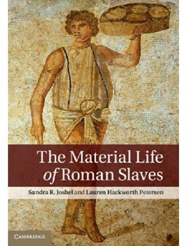 The Material Life of Roman Slaves - Sandra R. Joshel, Lauren Hackworth Petersen