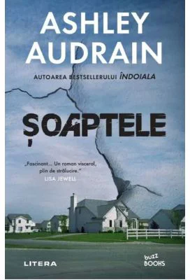 Soaptele - Ashley Audrain