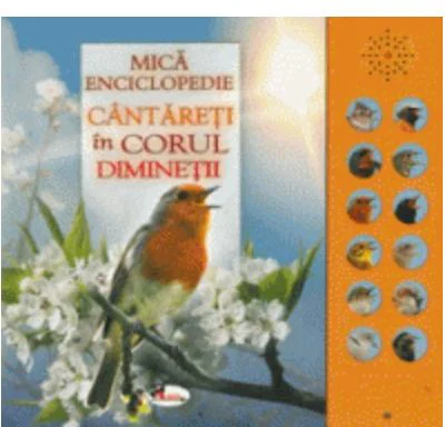 Mica enciclopedie. Cantareti in corul diminetii