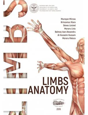 Limbs anatomy - Mircea Muresan