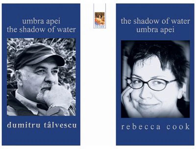 Umbra apei. The shadow of water
