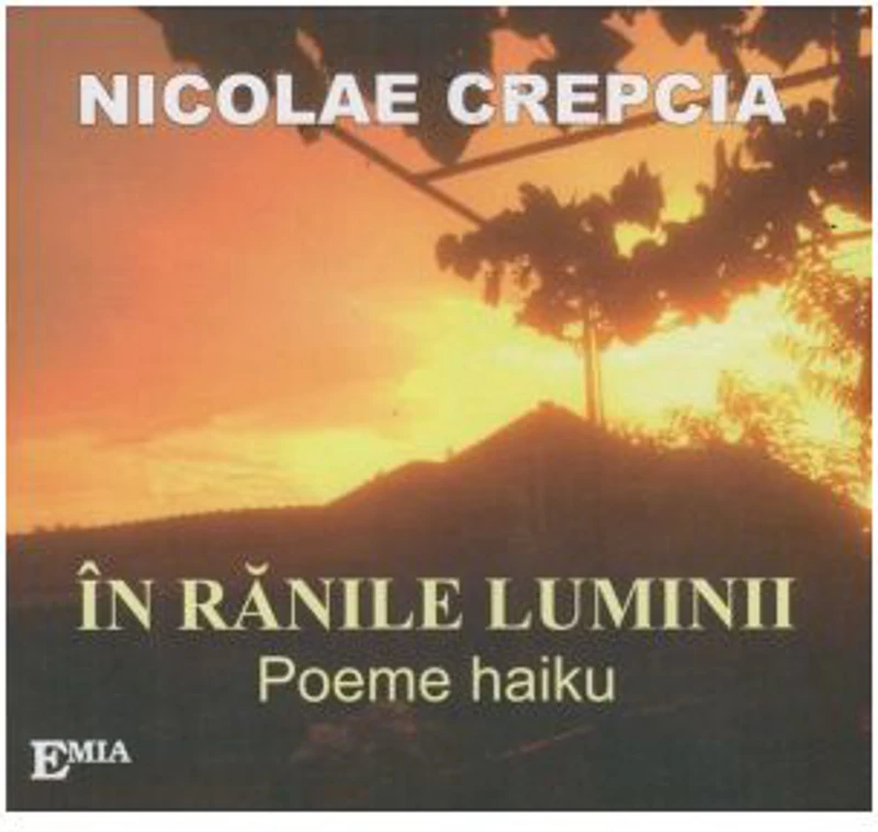 In ranile luminii. Poeme haiku