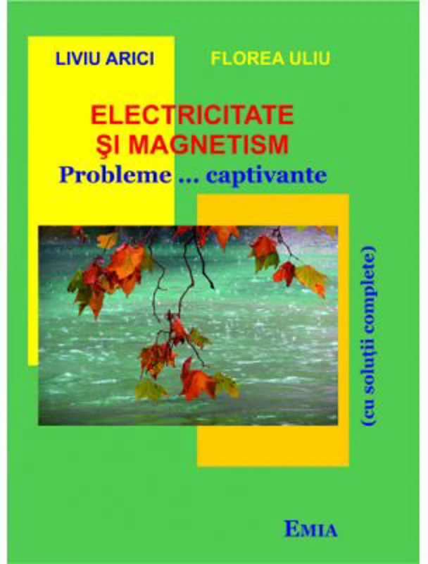 Electricitate si magnetism. Probleme... captivante cu solutii complete