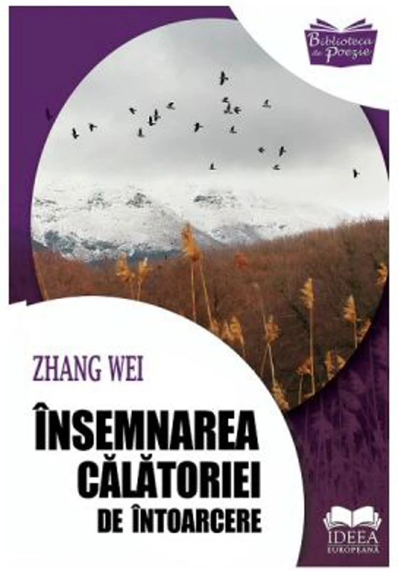 Insemnarea calatoriei de intoarcere - Zhang Wei