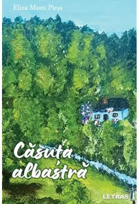 Casuta albastra