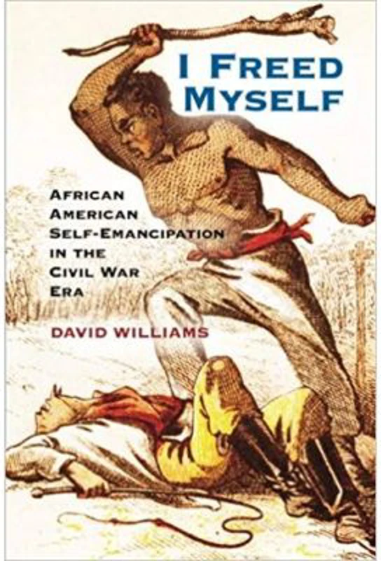 I Freed Myself: African American Self-Emancipation in the Civil War Era - David Williams