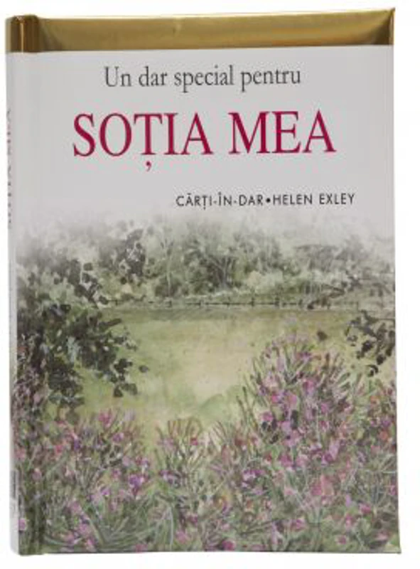 Un dar special pentru sotia mea