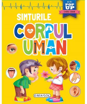 Corpul uman. Simturile