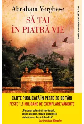 Sa tai in piatra vie