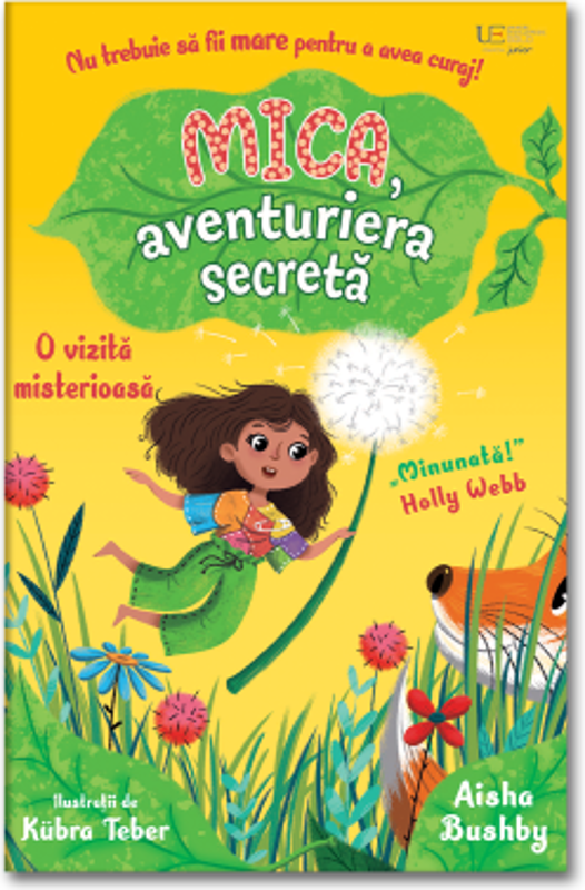 Mica, aventuriera secreta: o vizita misterioasa (Usborne)