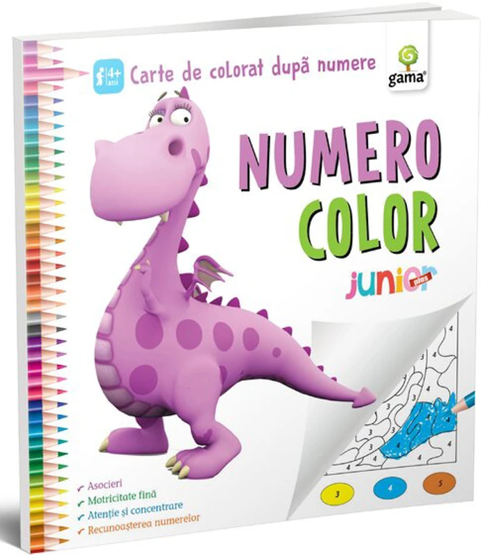 NumeroColor • Junior Plus