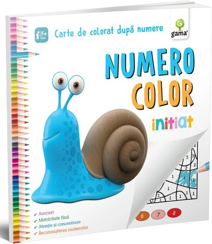 NumeroColor • Initiat