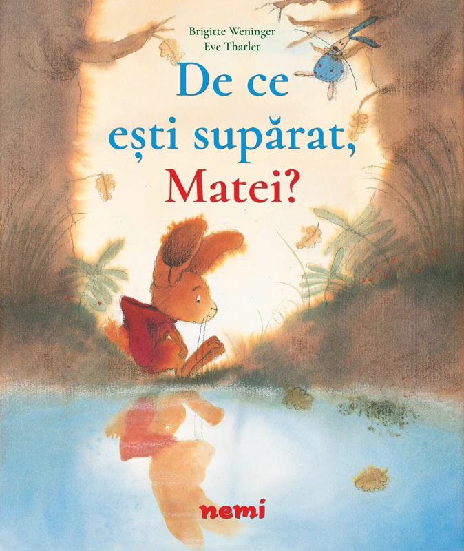 De ce ești supărat Matei?