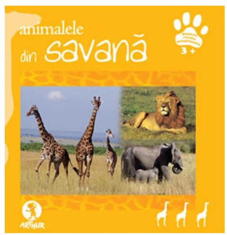 Animalele din savană - Hardcover - Donatella Bergamino - Arthur