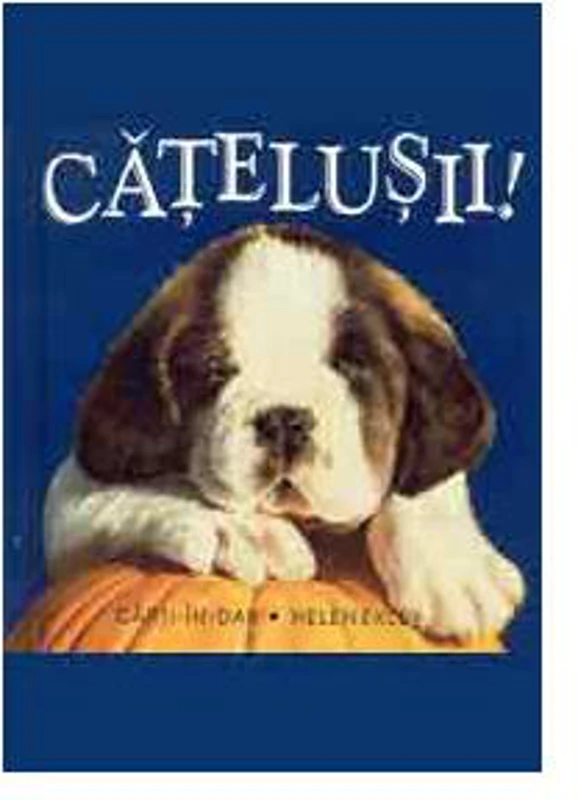 Căţeluşii - Paperback brosat - Helen Exley - Helen Exley