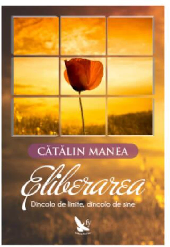 Eliberarea. Dincolo de limite, dincolo de sine - Paperback brosat - Cătălin Manea - For You