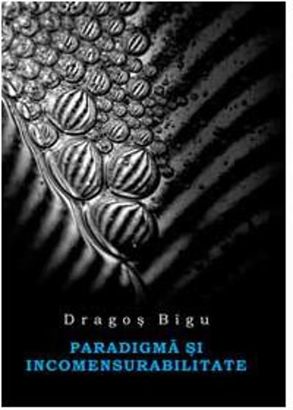 Paradigmă şi incomensurabilitate - Paperback - Dragoş Bigu - All