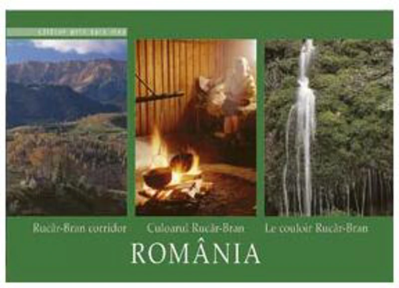 Culoarul Rucăr-Bran - Paperback brosat - Mariana Pascaru - Ad Libri