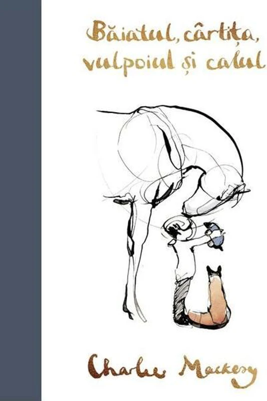Băiatul, cârtița, vulpoiul și calul - Hardcover - Charlie Mackesy - Grafic Art