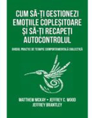 Cum sa-ti gestionezi emotiile coplesitoare si sa-ti recapeti autocontrolul - Matthew Mckay