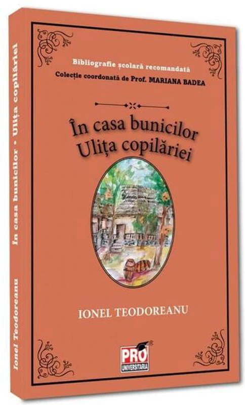 În casa bunicilor. Ulița copilăriei - Paperback brosat - Pro Universitaria