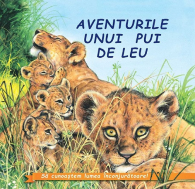 Aventurile unui pui de Leu﻿. Sa cunoastem lumea inconjuratoare!