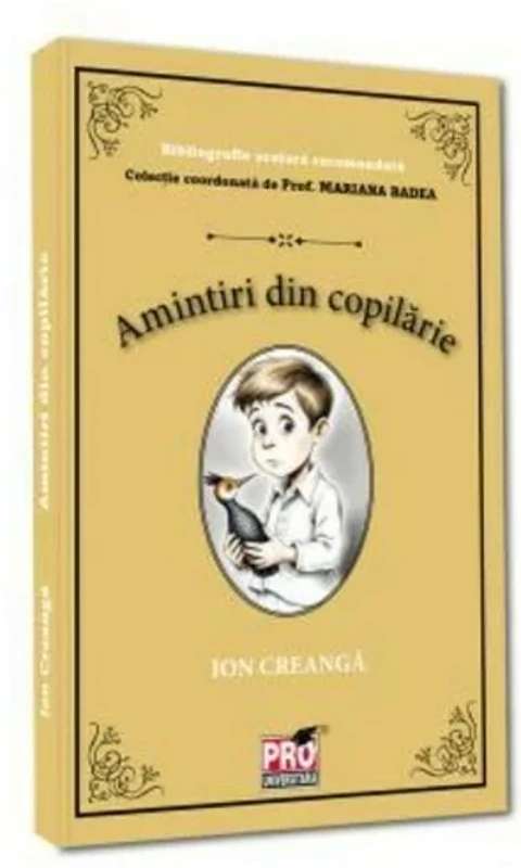 Amintiri din copilarie