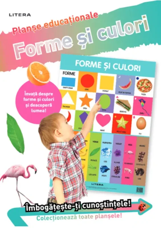 Forme și culori. Planșe educaționale - Paperback - *** - Litera