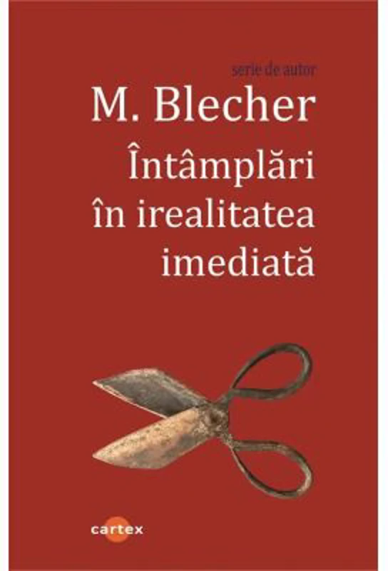 Intamplari in irealitatea imediata - Max Blecher