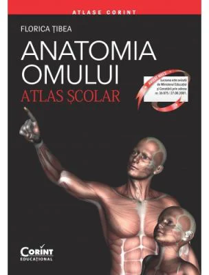 Anatomia Omului. Atlas scolar. Editie revizuita - Florica Tibea