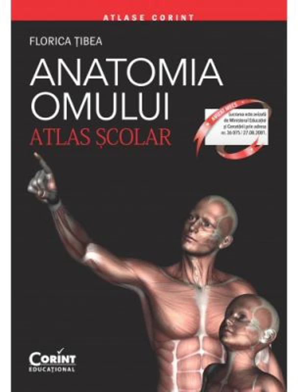 Anatomia Omului. Atlas scolar. Editie revizuita - Florica Tibea