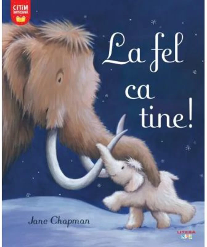 La fel ca tine! - Jane Chapman