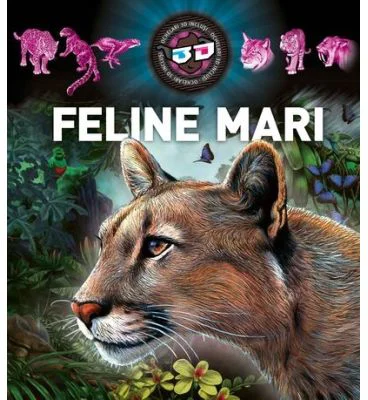 Feline mari 3D