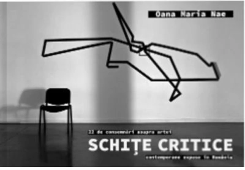 Schite critice. 22 de consemnari asupra artei contemporane expuse in Romania - Oana Maria Nae