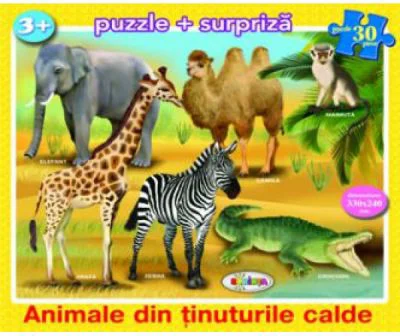 Puzzle Animale din tinuturile calde
