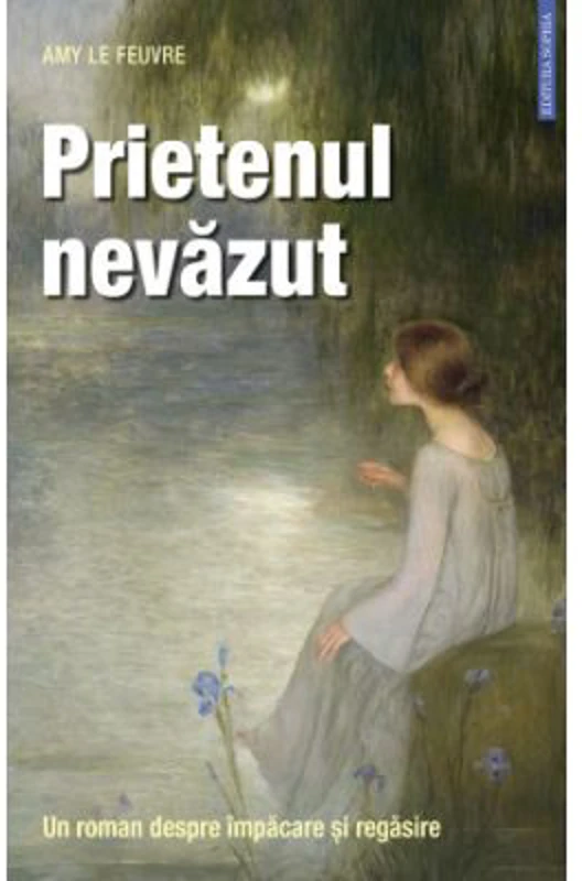 Prietenul nevazut. Un roman despre impacare si regasire - Amy Le Feuvre