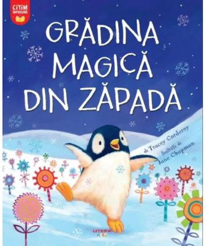Gradina magica din zapada