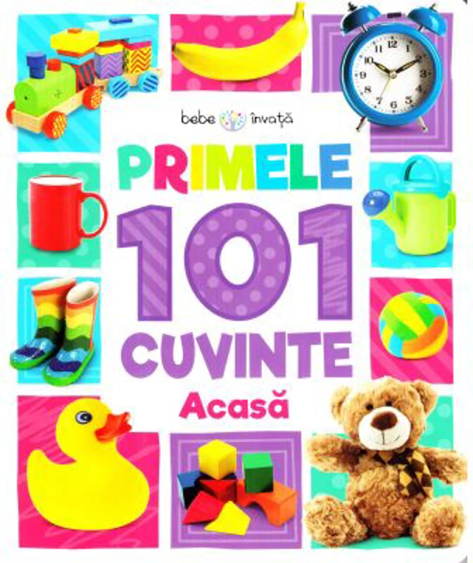 Bebe invata. Primele 101 cuvinte. Acasa