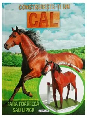 Construieste-ti un cal