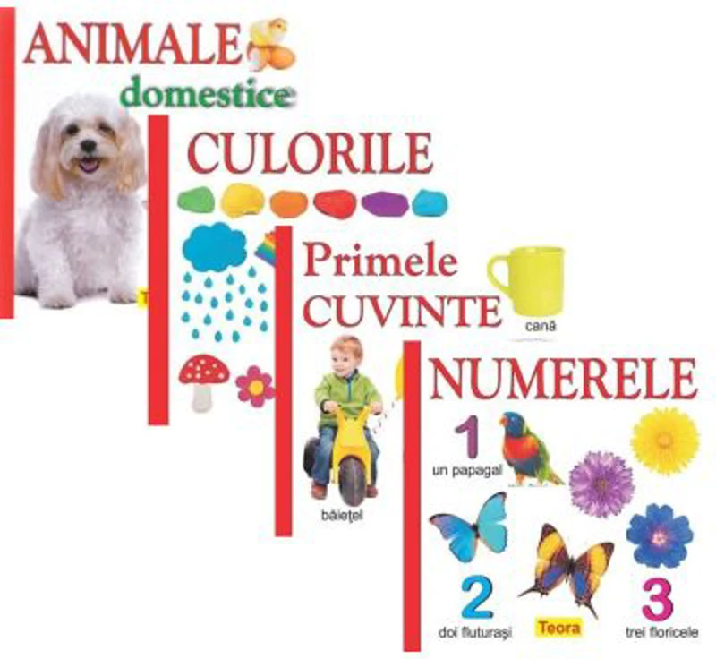 Pachet 4 carti pentru copii, culorile, animele domestice, numerele, primele cuvinte - Diana Rotaru