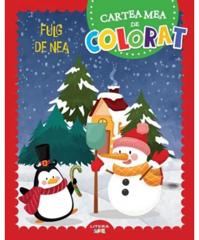 Fulg de nea. Cartea mea de colorat