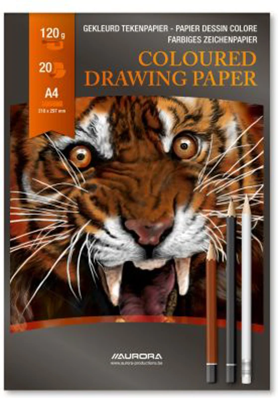 Bloc desen A4, 20 file - 120gsm, AURORA Raphael - hartie 10 culori asortate
