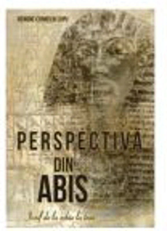 Perspectiva din abis - Benone Corneliu Lupu