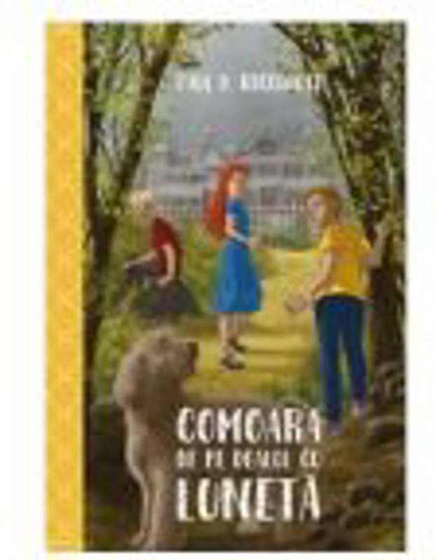Comoara de pe Dealul cu Luneta - Paul B. Ricchiuti