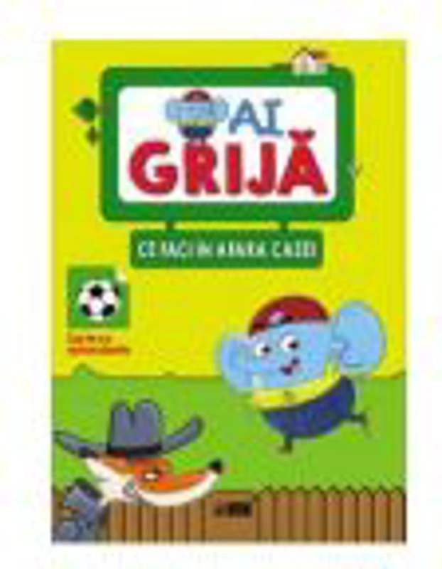 Ai grija ce faci in afara casei. Carte cu autocolante