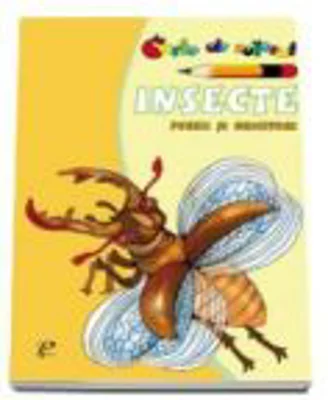 Insecte