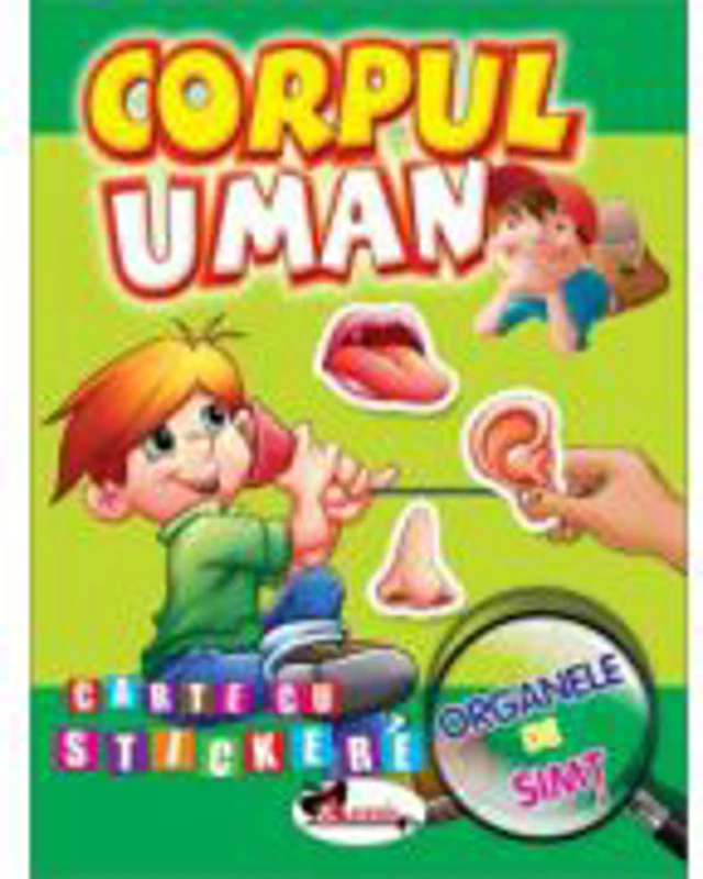 Corpul uman. Organele de simt